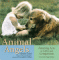 Animal Angels
