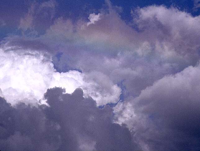 rainbow-jg0365.jpg